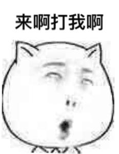 图片7