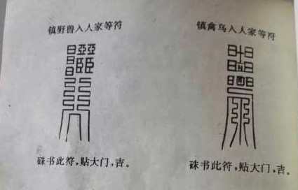 图片6