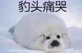 640 (2)_看图王