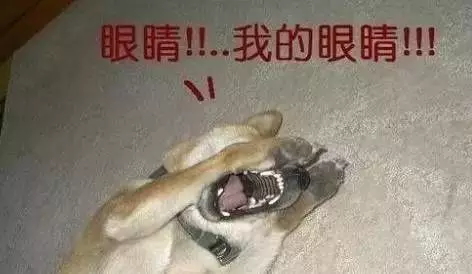640 (5)_看图王